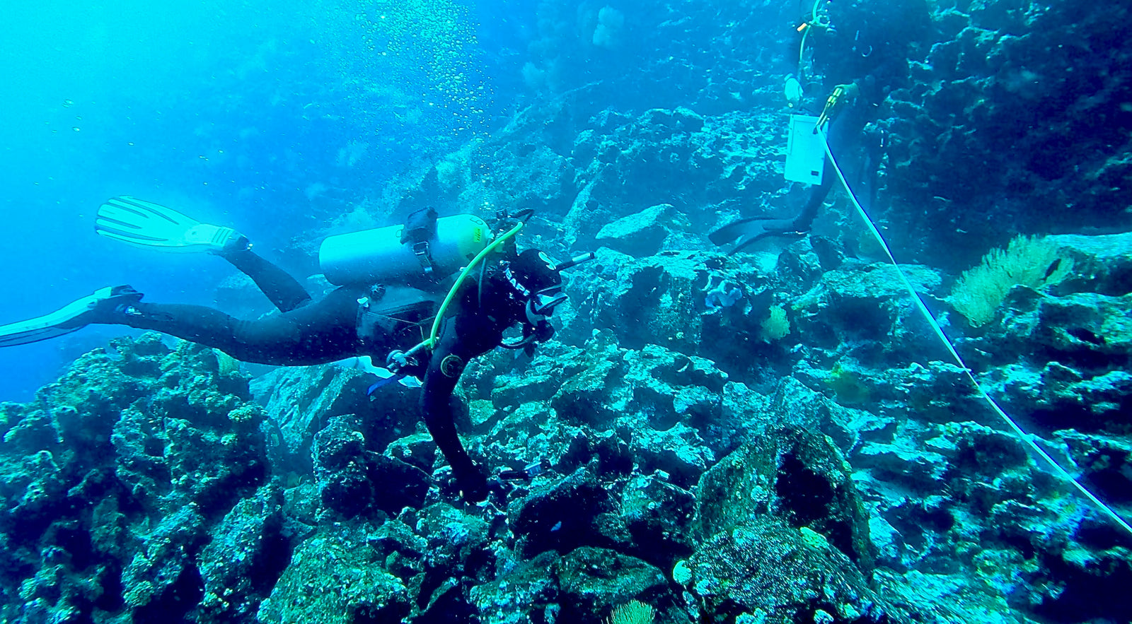 A diver exploring a coral reef