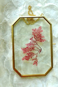 Framed Pressed Seaweed No. 1