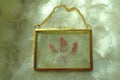 Framed Pressed Seaweed No. 2