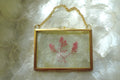 Framed Pressed Seaweed No. 2