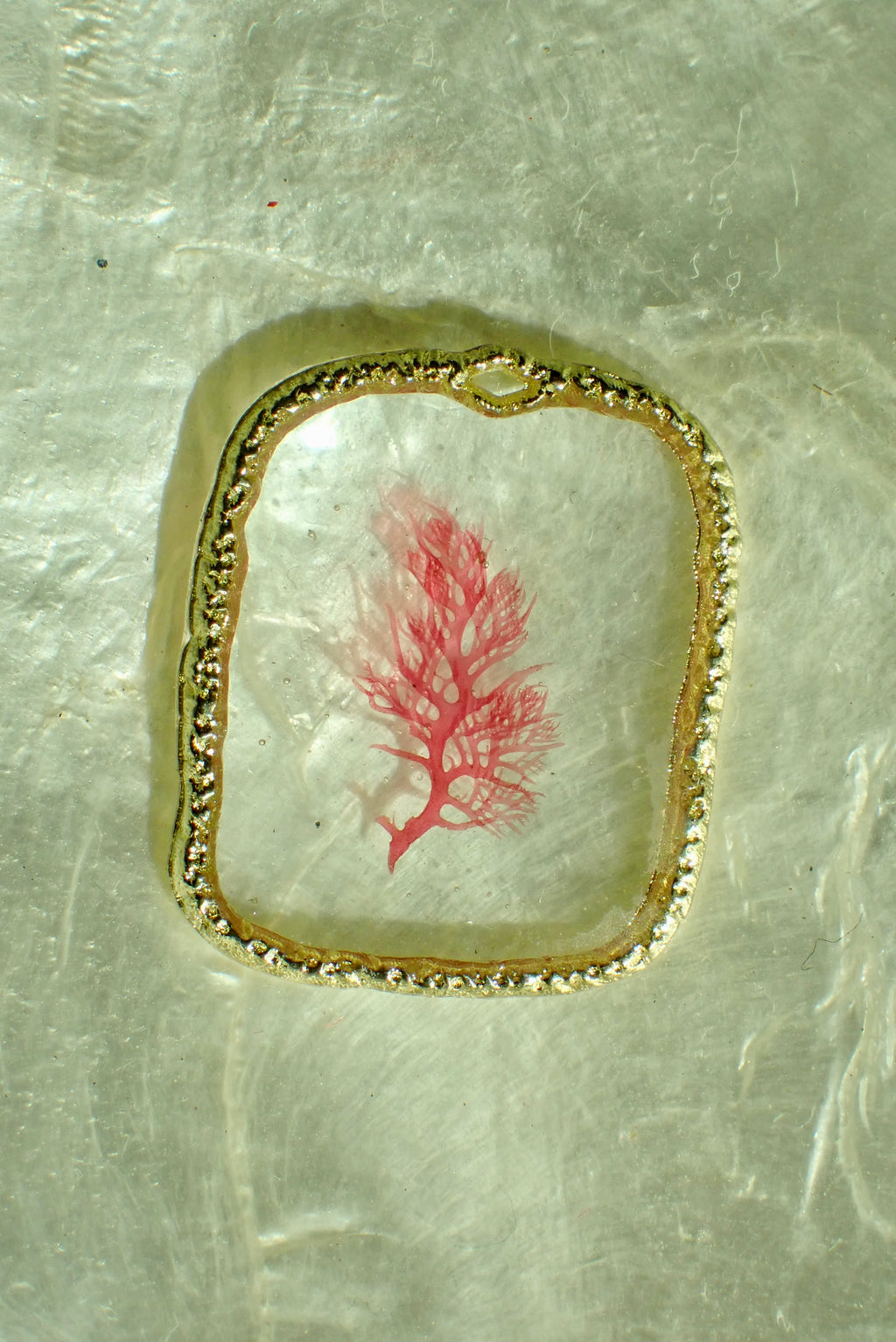 Sea Gem Petite No. 5