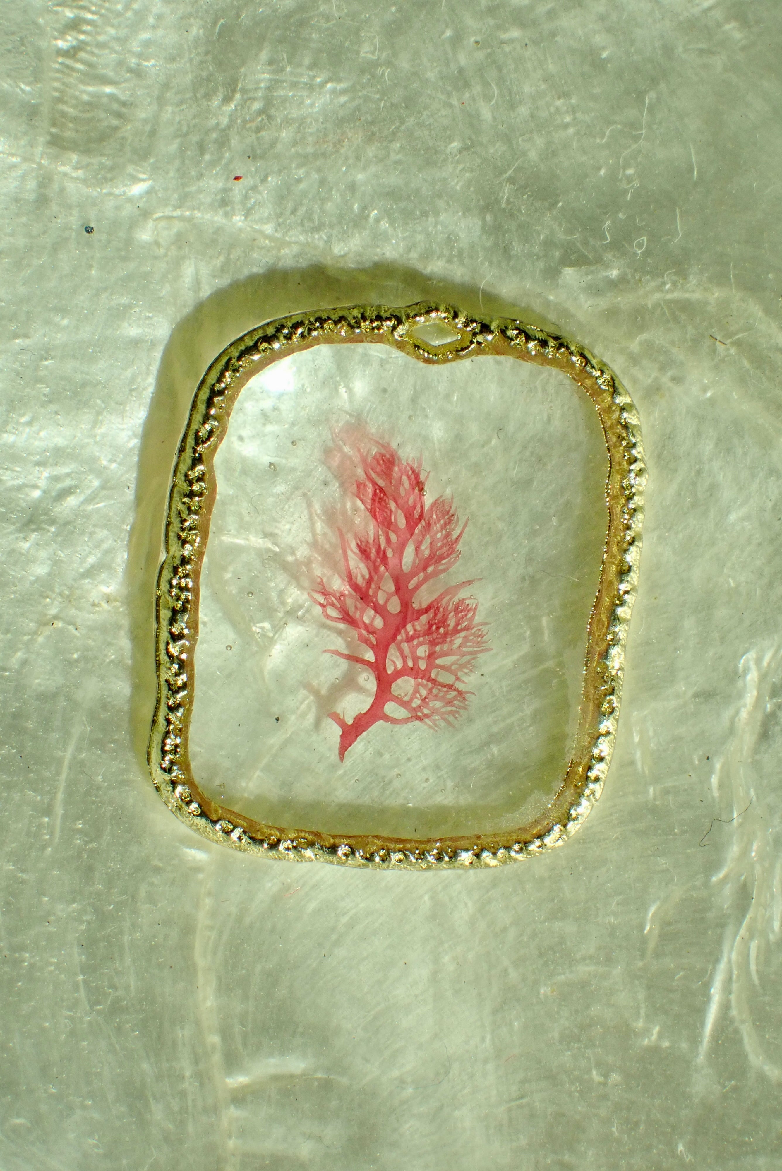 Sea Gem Petite No. 5