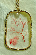 Sea Gem Signature No. 3