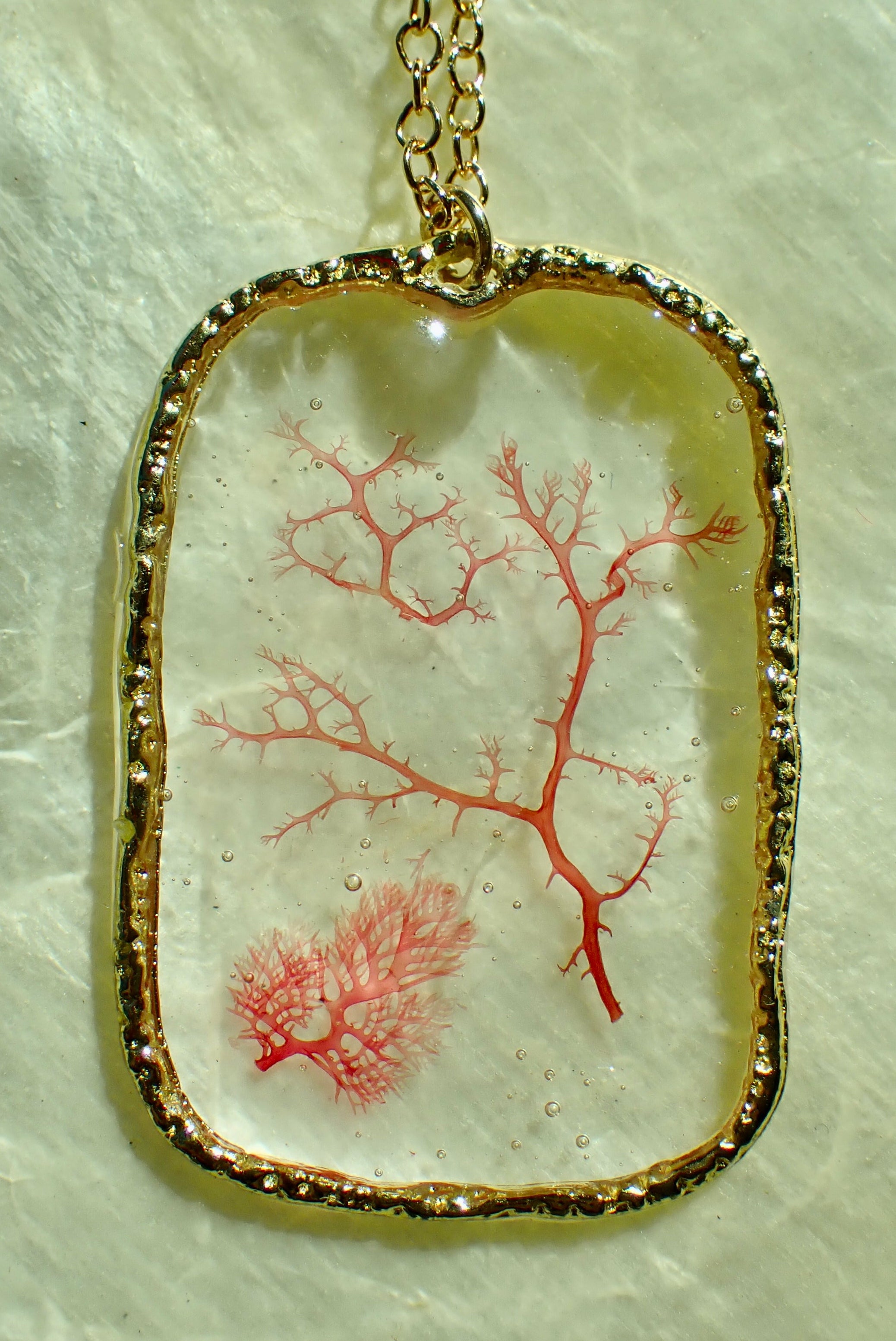 Sea Gem Signature No. 3