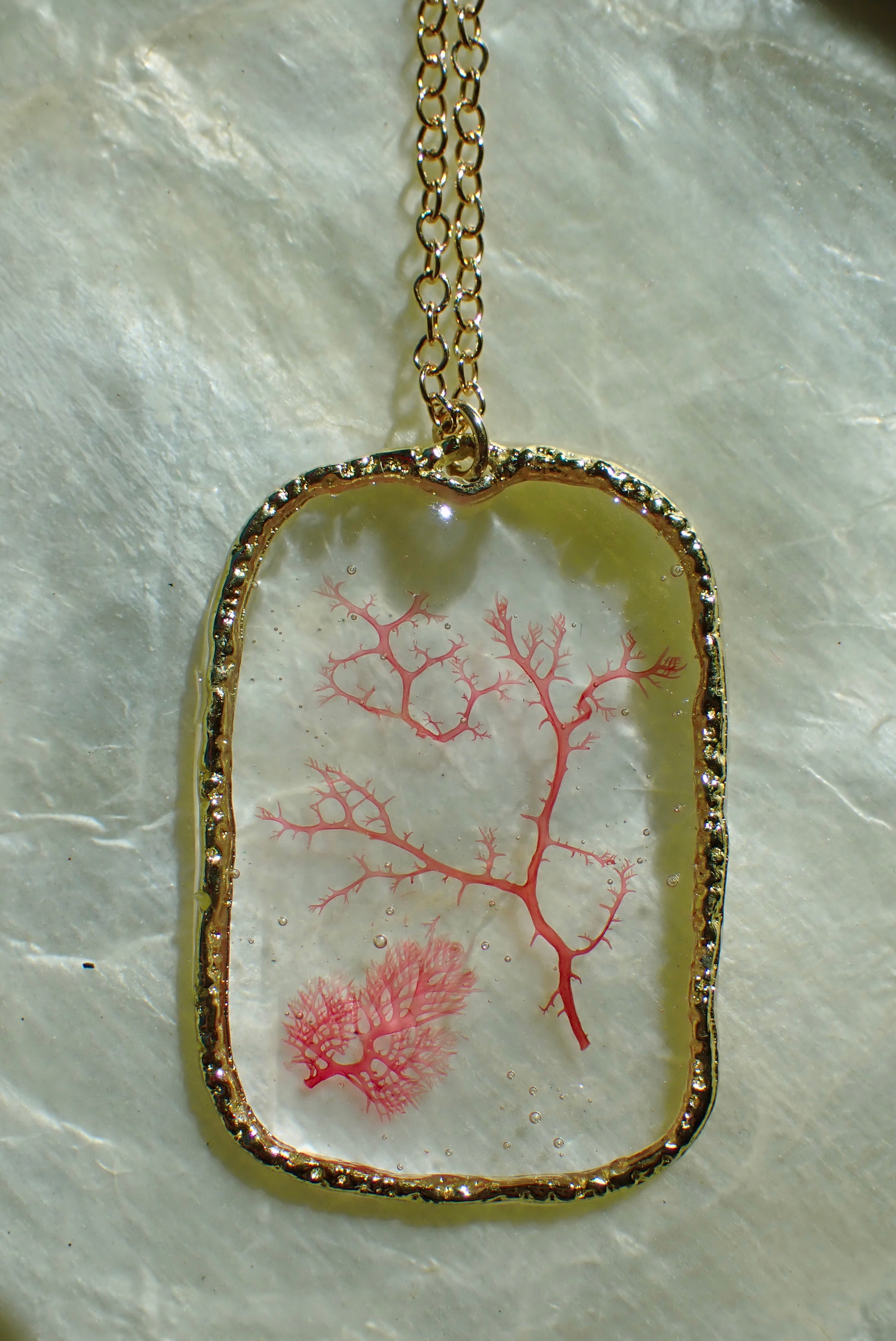 Sea Gem Signature No. 3