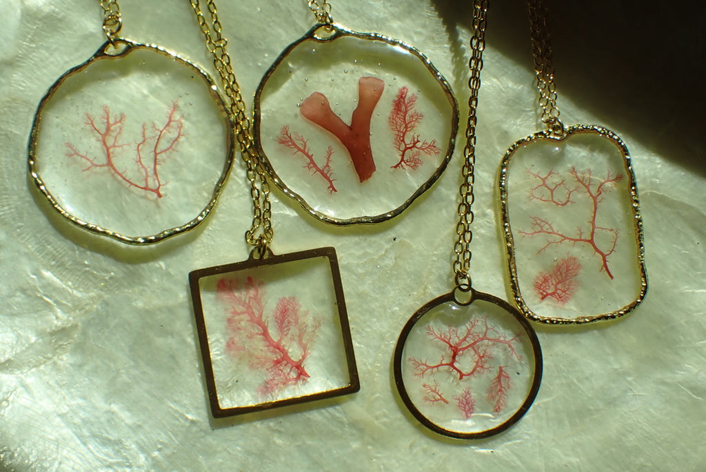 Sea Gem Signature No. 5
