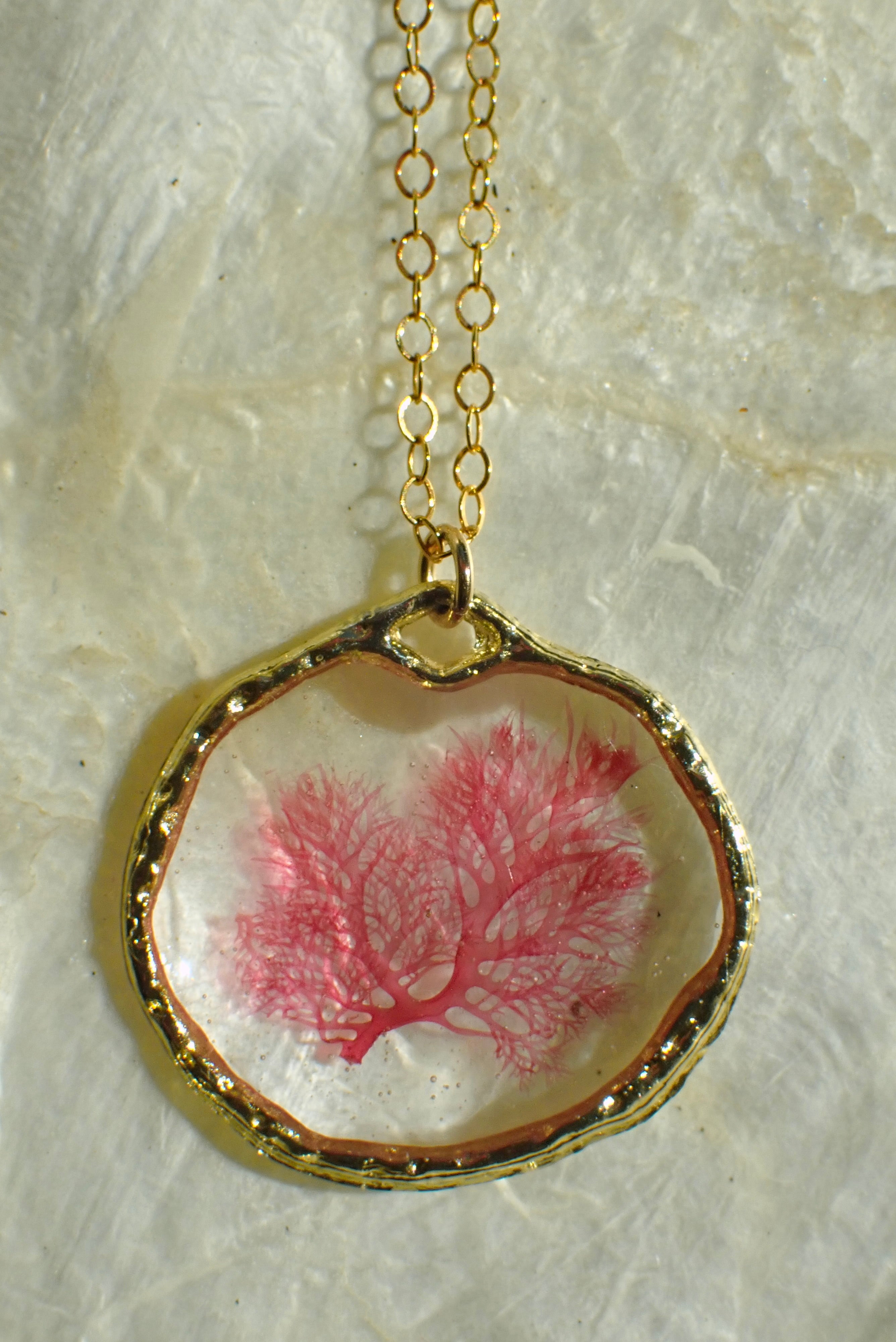 Sea Gem Petite No. 1