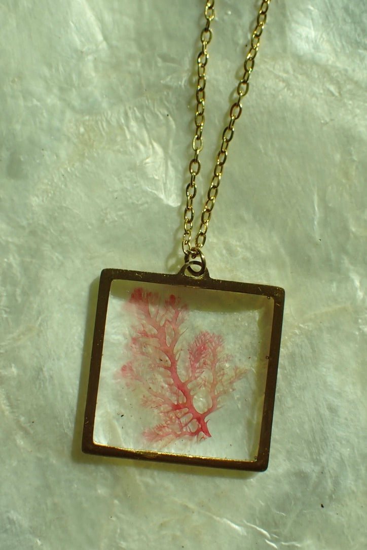 Sea Gem Signature No. 5