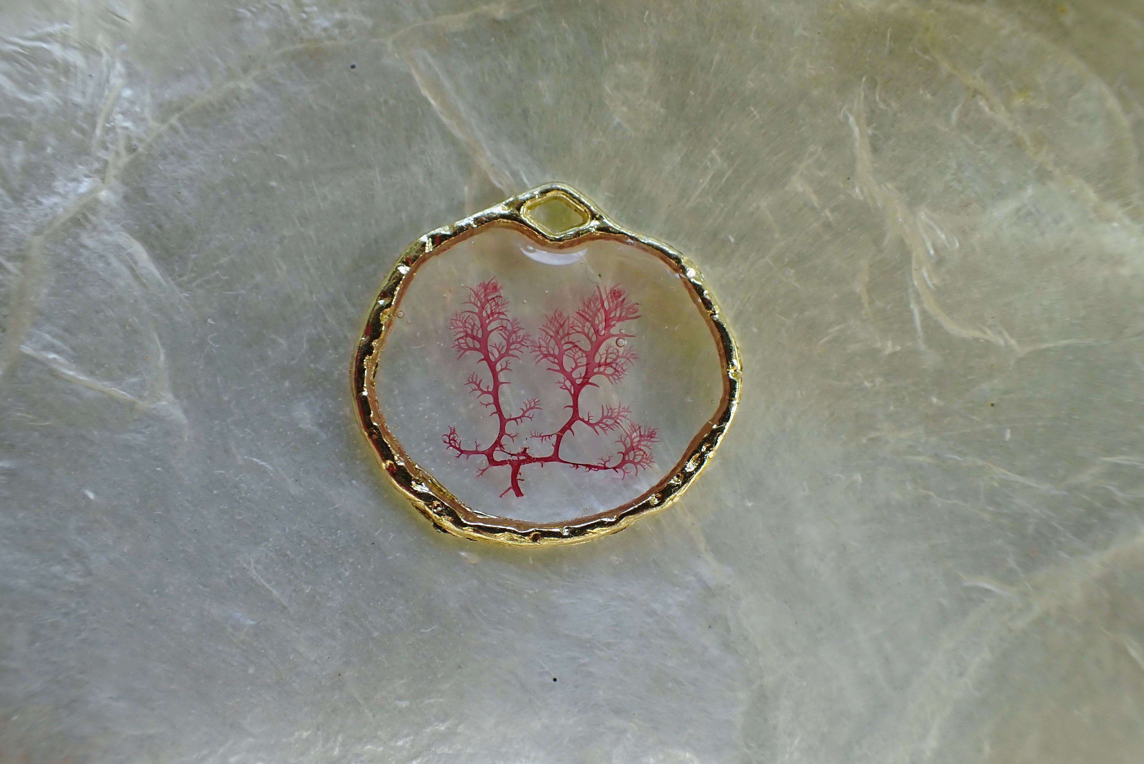 Sea Gem Petite No. 2