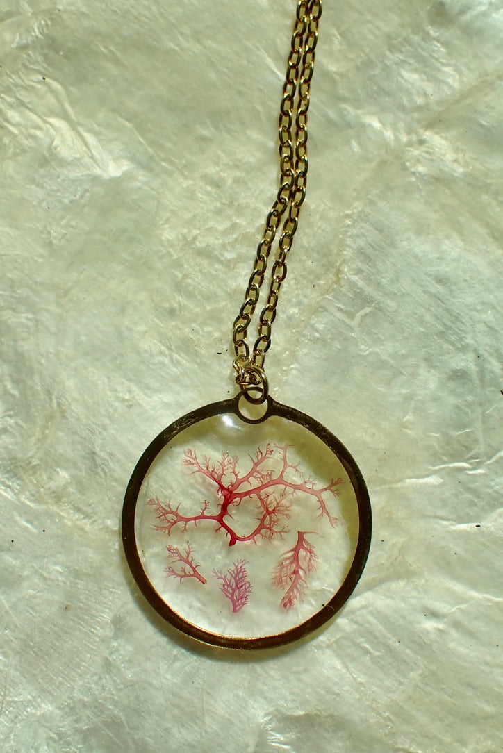 Sea Gem Signature No. 4