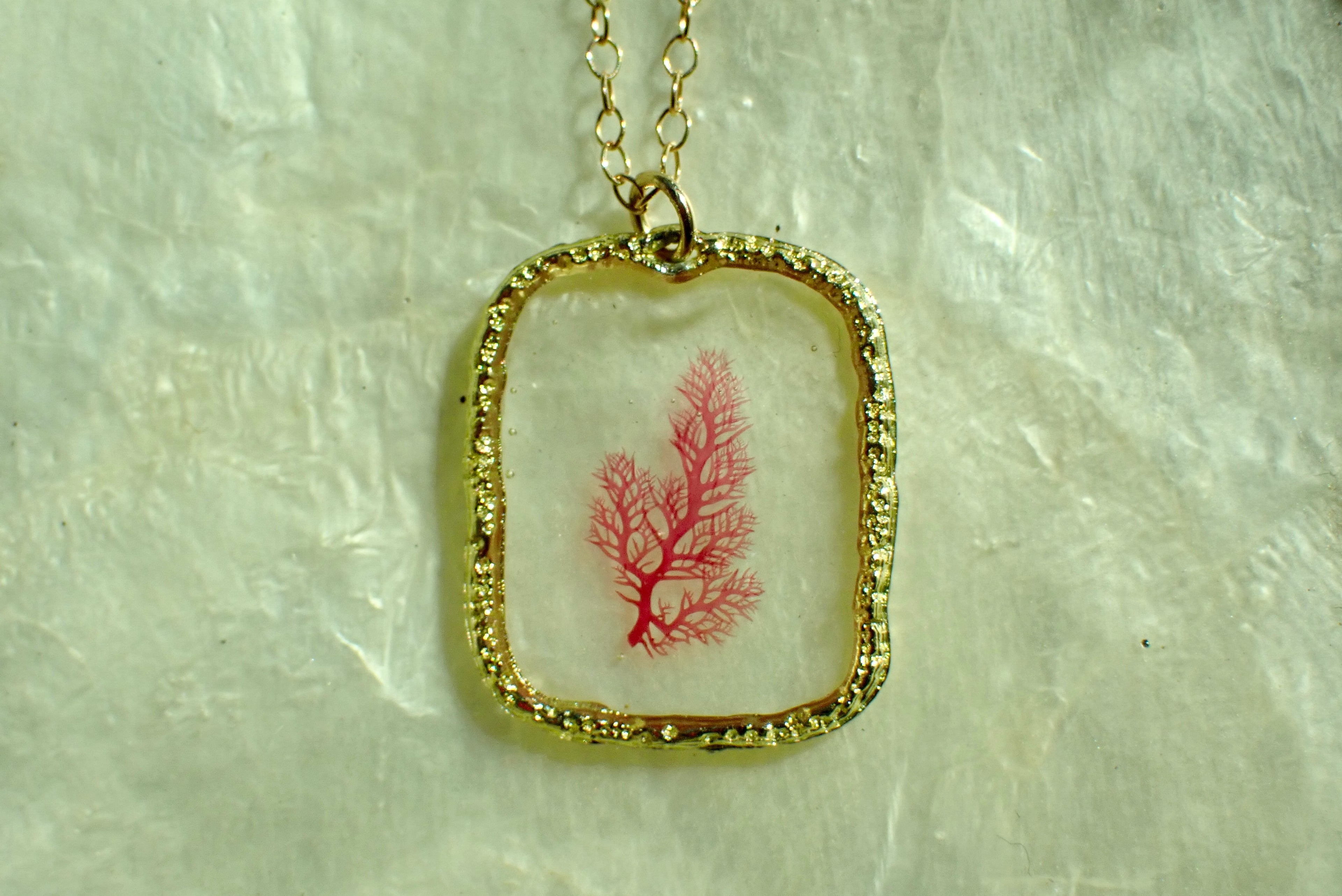 Sea Gem Petite No. 3