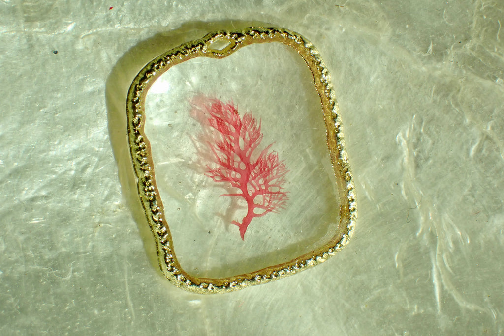 Sea Gem Petite No. 5