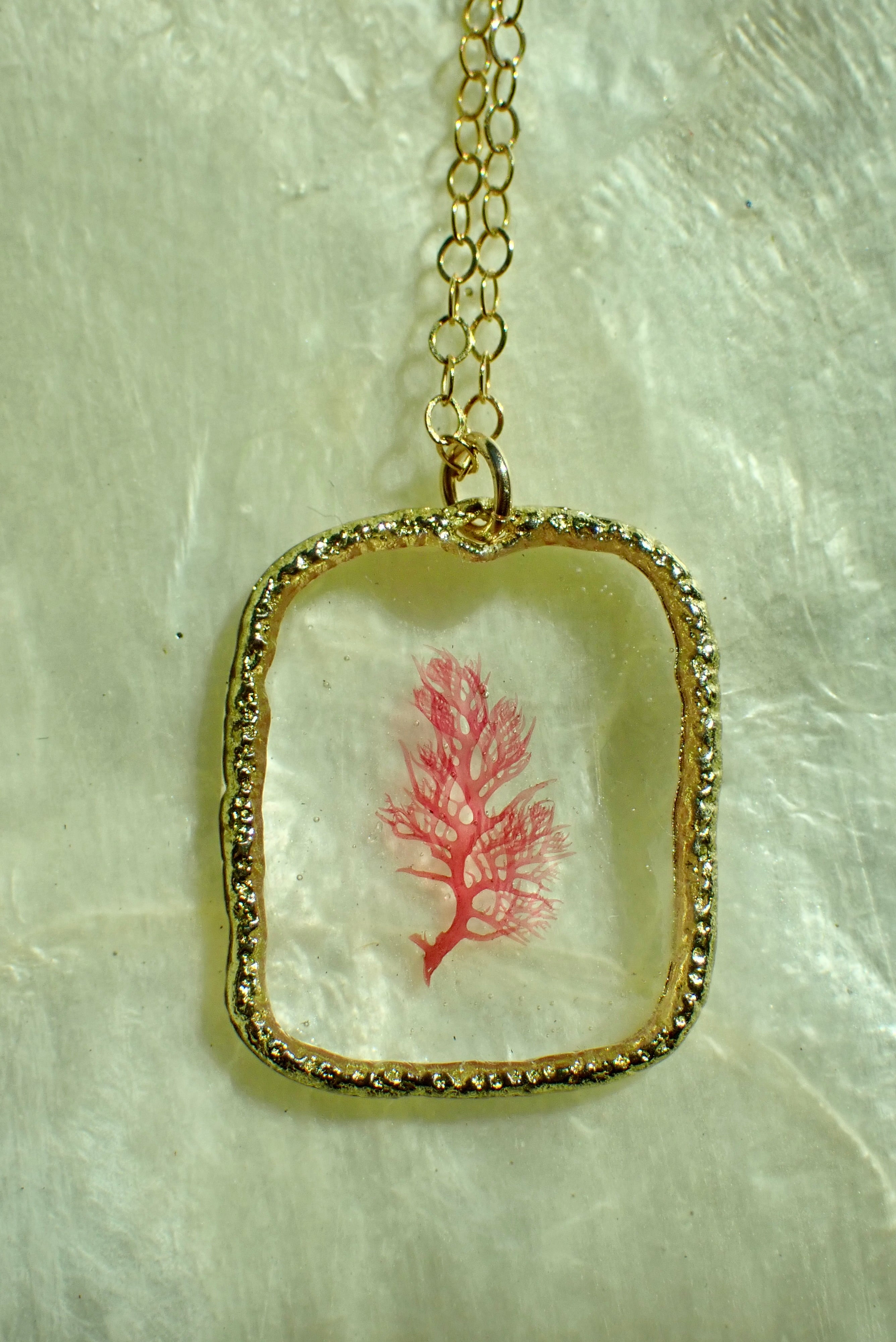 Sea Gem Petite No. 5
