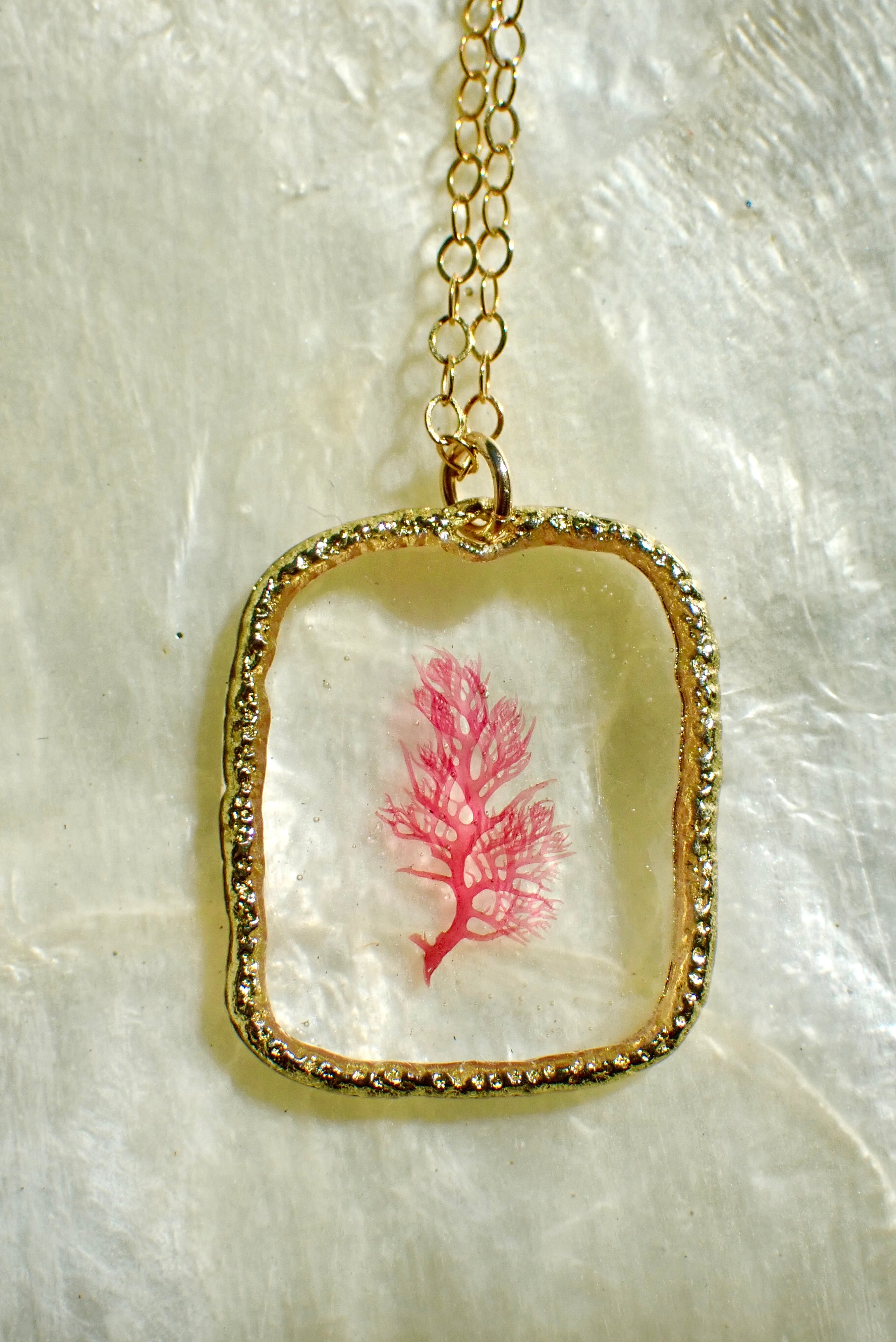 Sea Gem Petite No. 5
