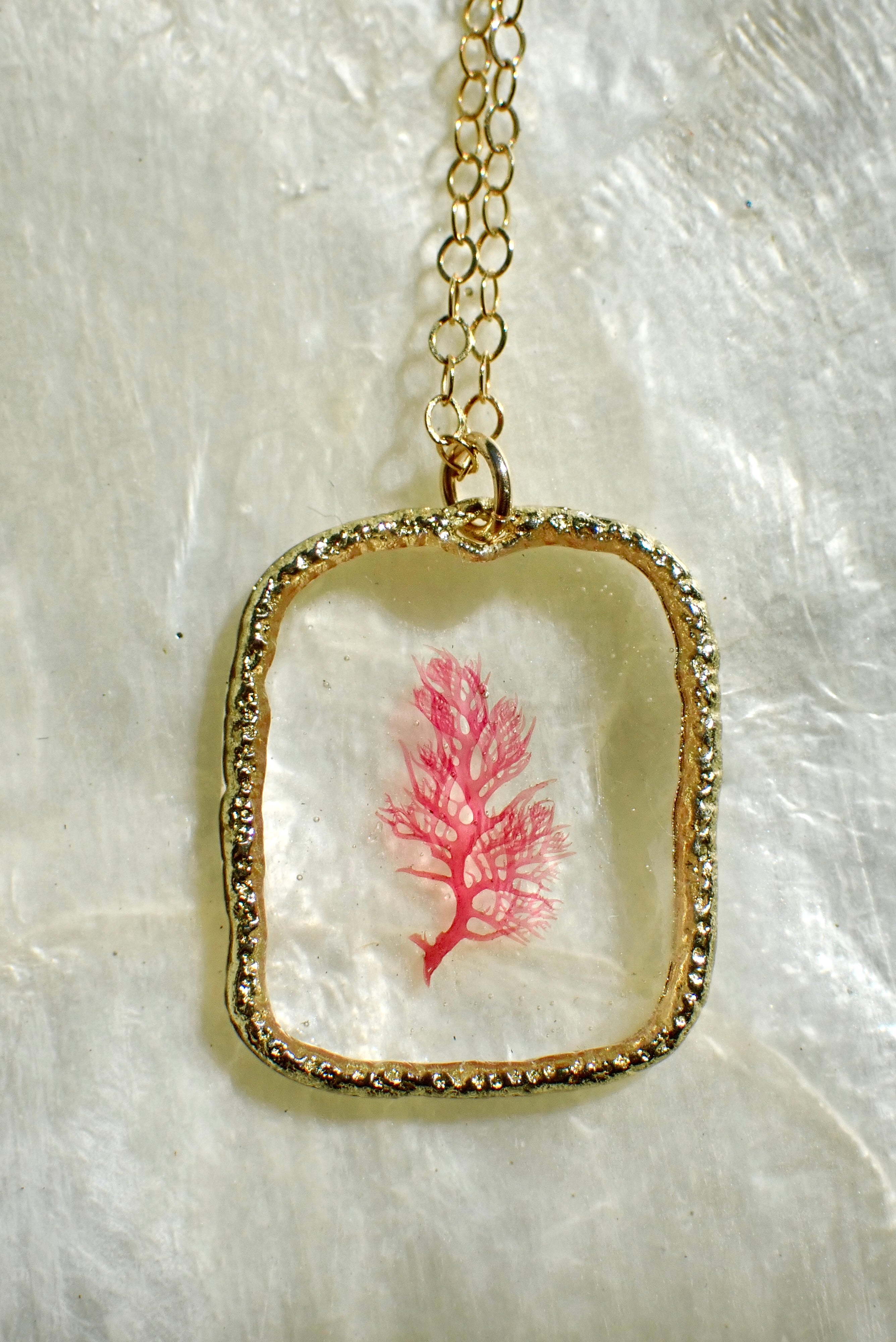Sea Gem Petite No. 5