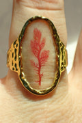 Calypso Ring