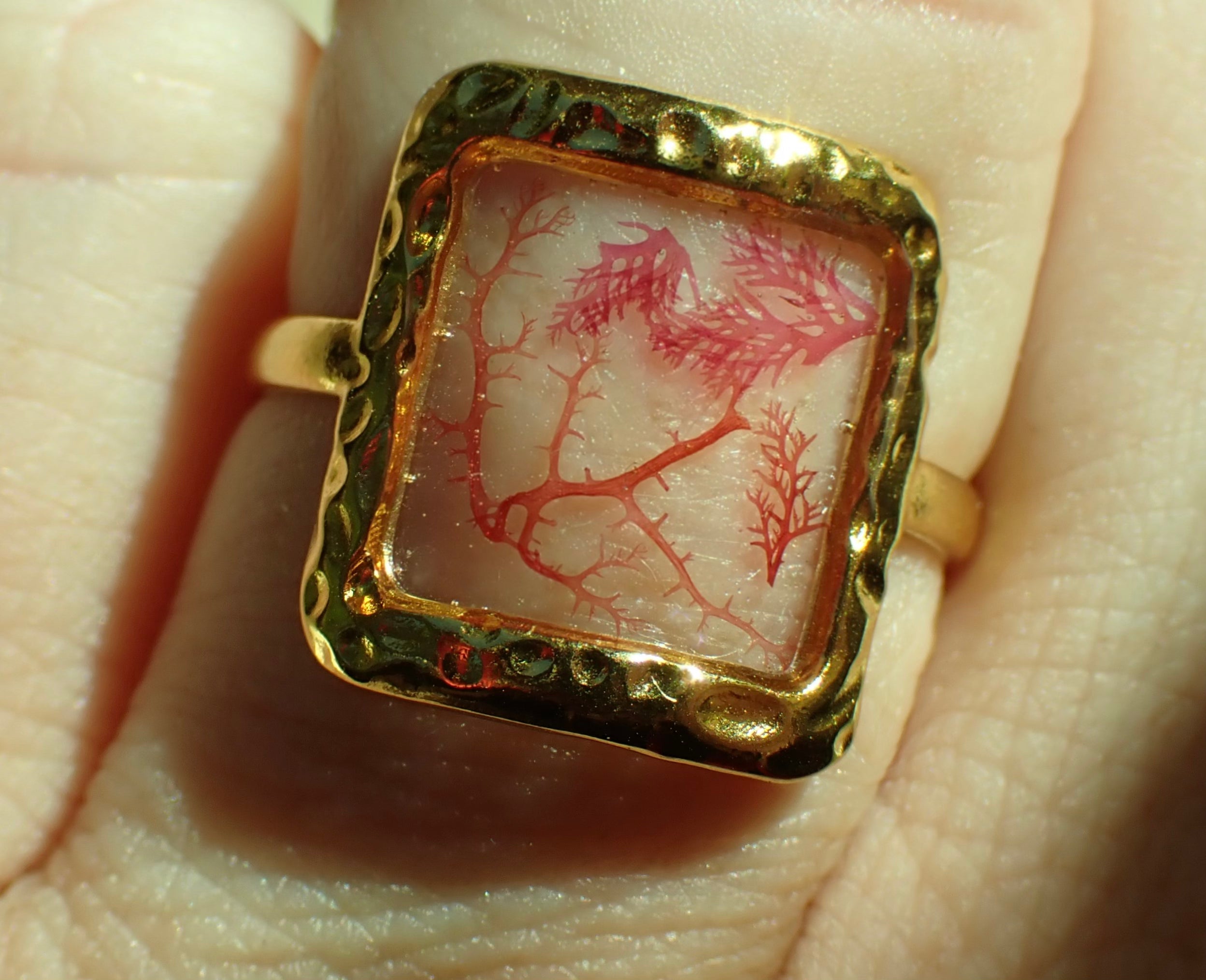 Tidepool Ring