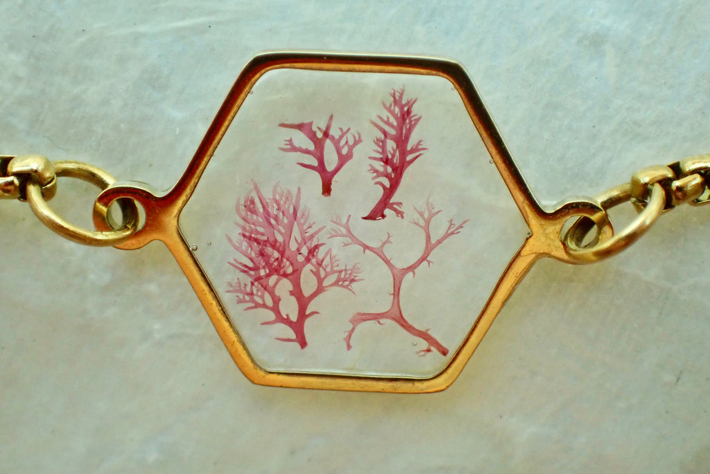 Tidepool Bracelet