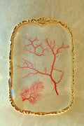 Sea Gem Signature No. 3