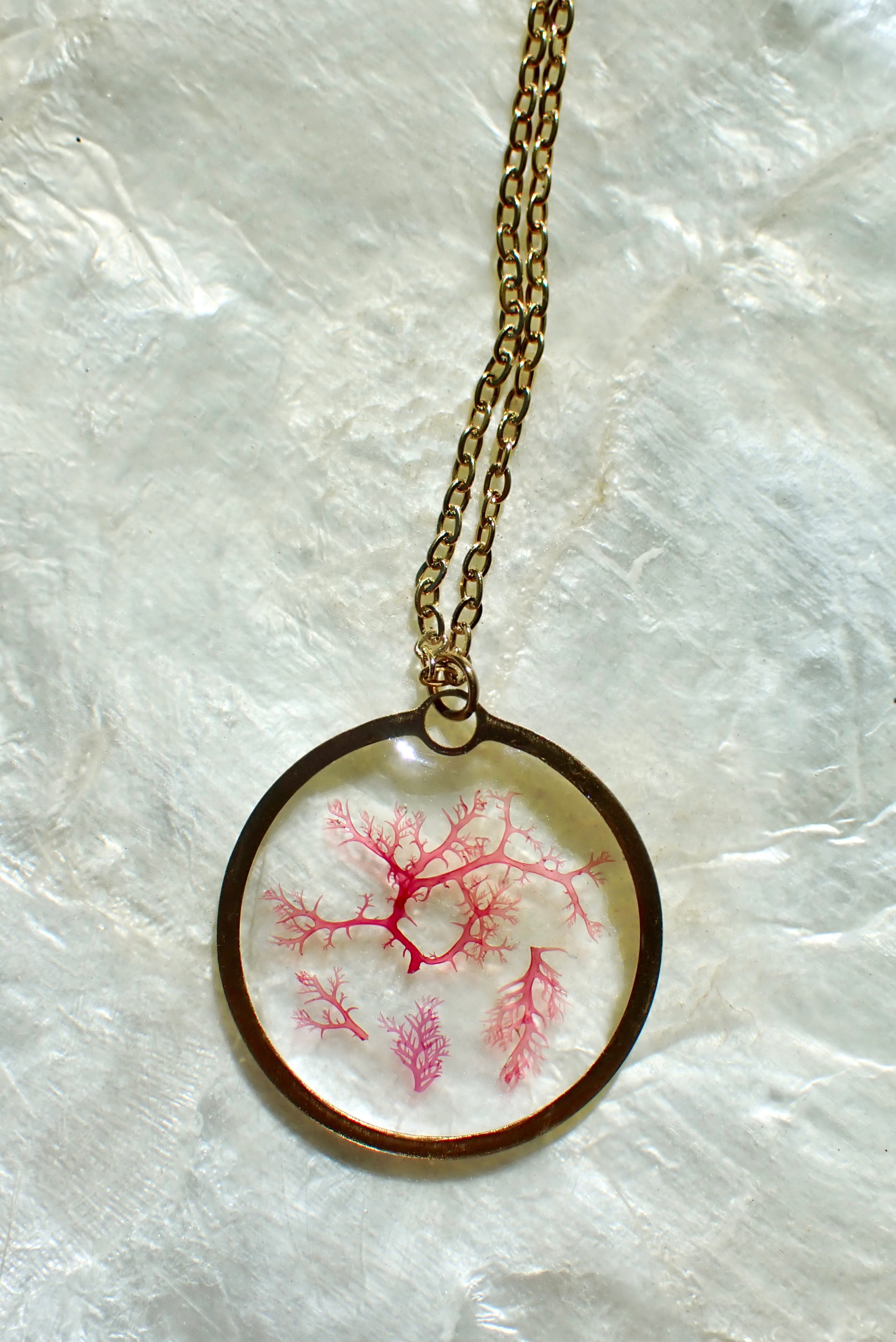 Sea Gem Signature No. 4