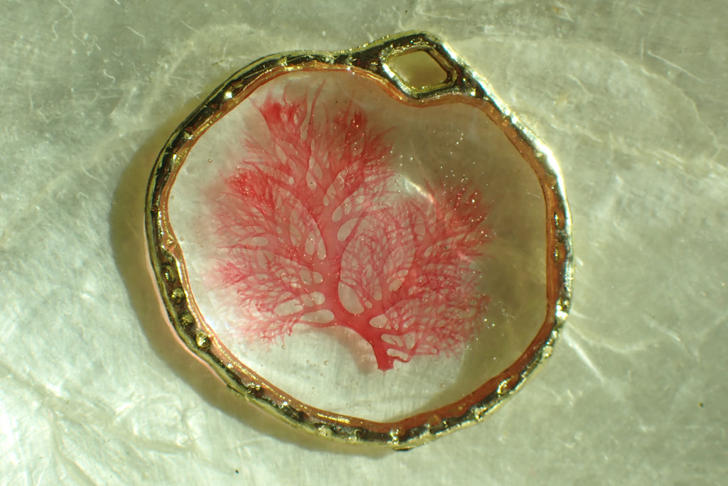 Sea Gem Petite No. 1