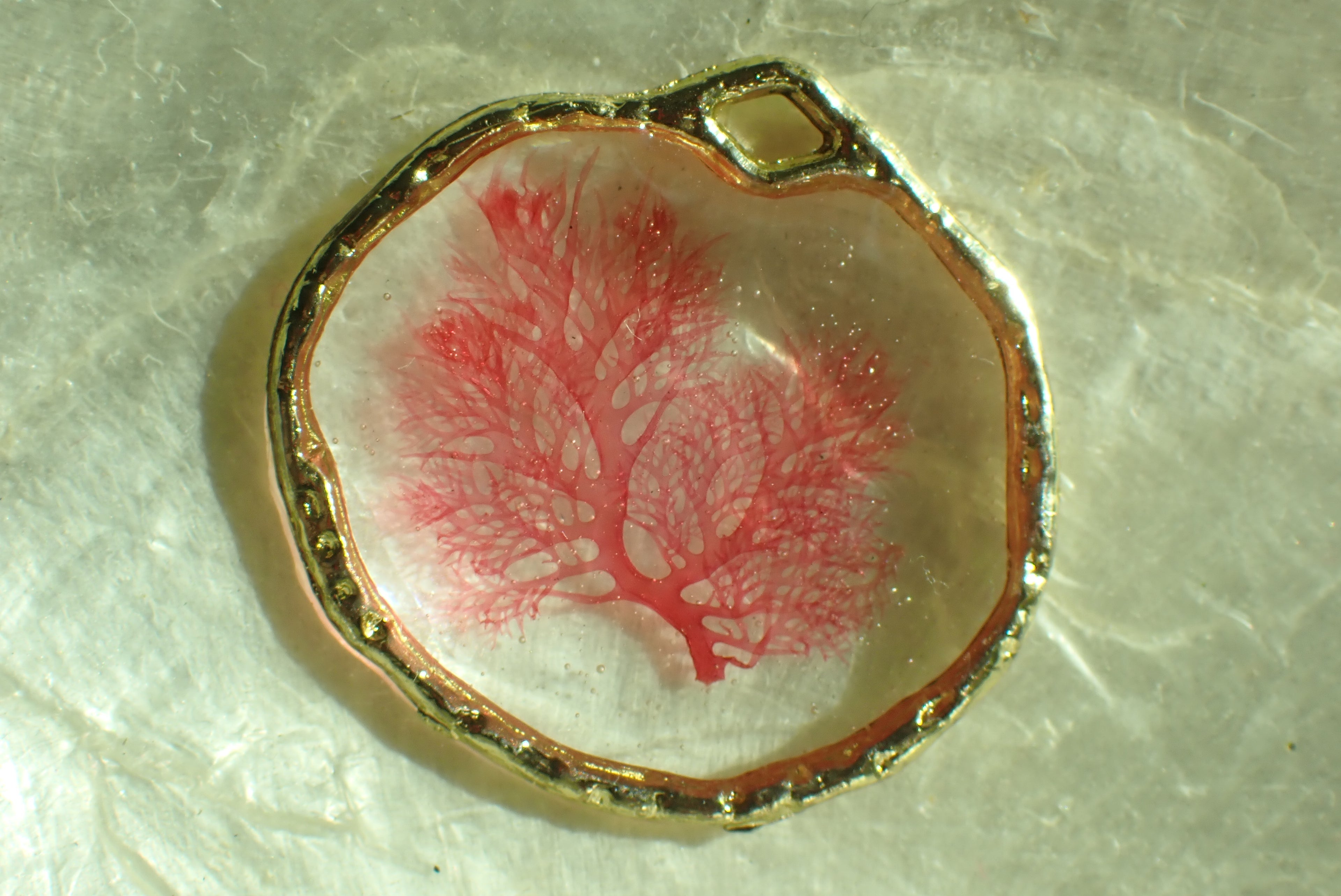 Sea Gem Petite No. 1