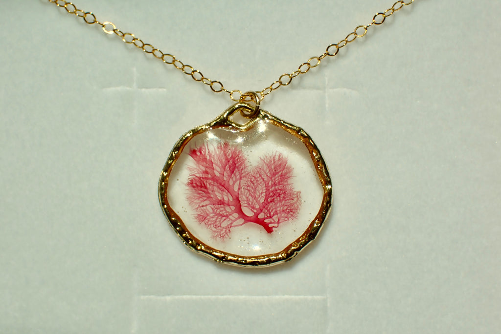 Sea Gem Petite No. 1