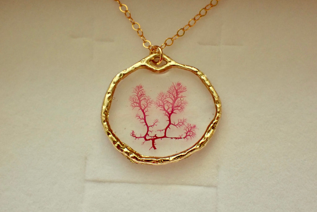 Sea Gem Petite No. 2