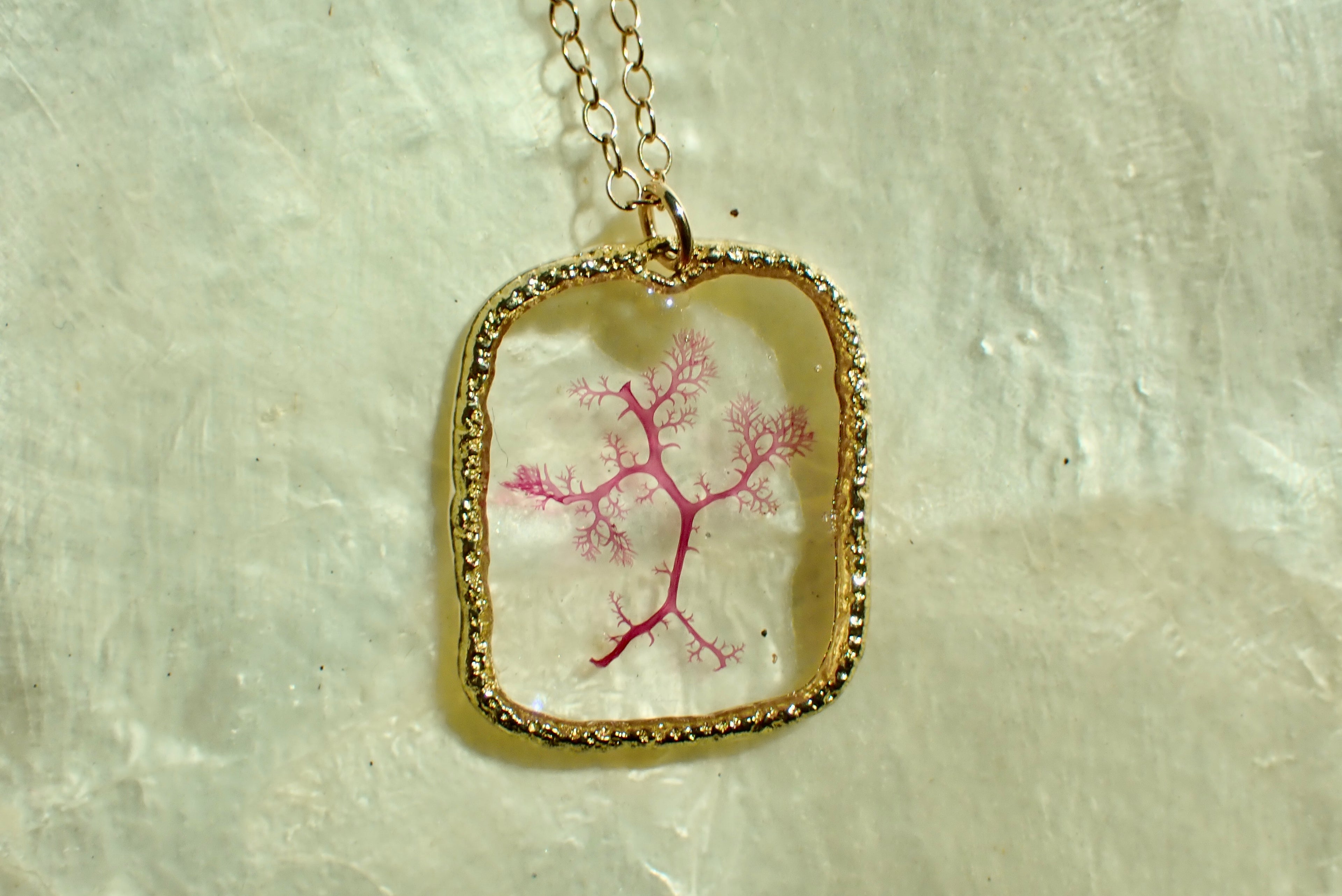 Sea Gem Petite No. 4