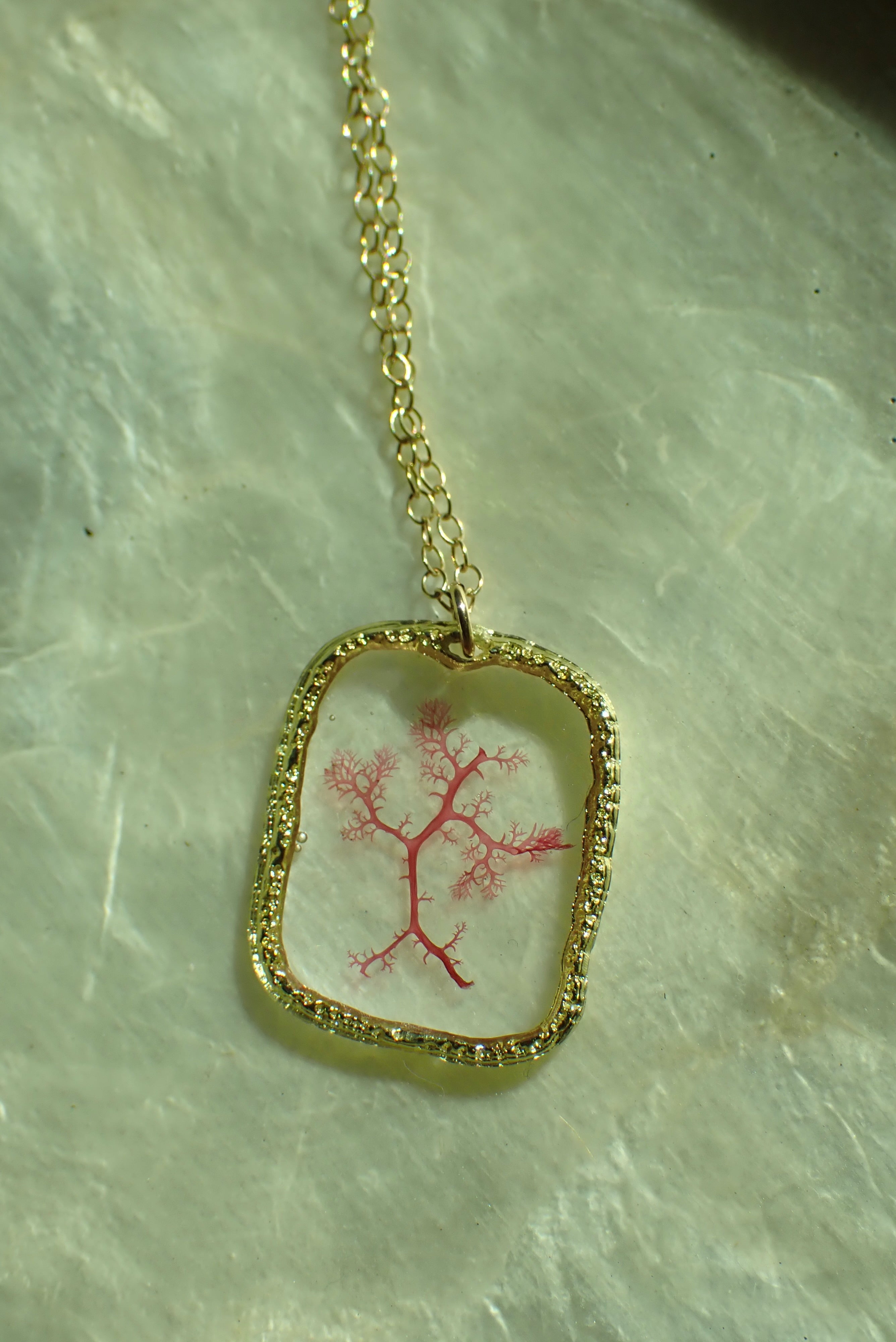 Sea Gem Petite No. 4